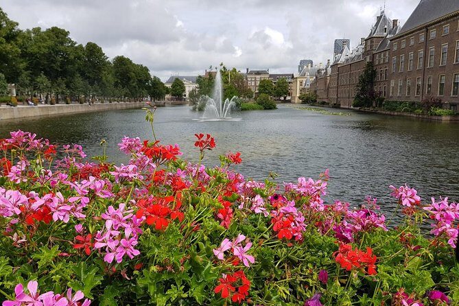 privatetour Delft, The Hague&Rotterdam Kinderdijk from Amsterdam - Who Will Appreciate This Tour?