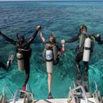 Professional Guided Scuba Diving: Swim with colorful fish. - Itinerary Breakdown: What To Expect