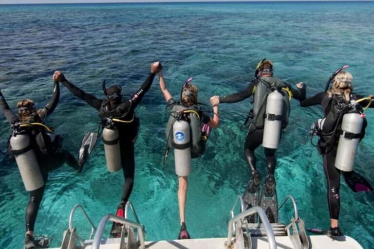 Professional Guided Scuba Diving: Swim with colorful fish. - Itinerary Breakdown: What To Expect