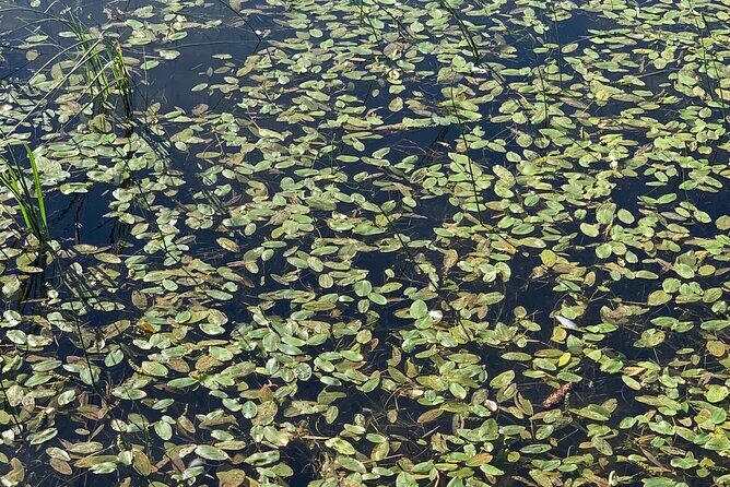 Prokoko Lake: A Day Tour to the Forgotten Village from Sarajevo - An In-Depth Look at What Makes This Tour Special