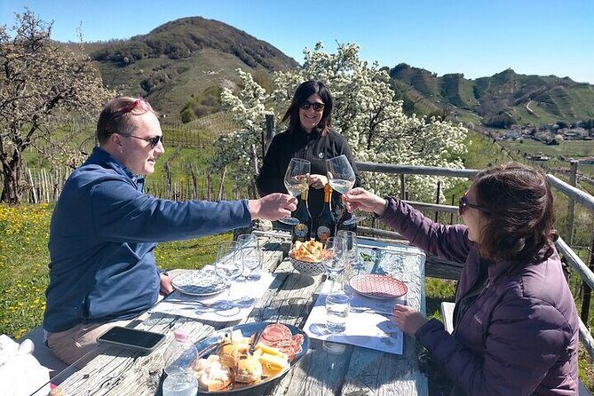 Prosecco experience. Wine tasting. Full day from Treviso - The Bottom Line