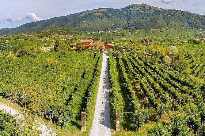 Prosecco Wine Tasting. Visit Treviso. From Venice - In-Depth Review of the Prosecco & Treviso Tour