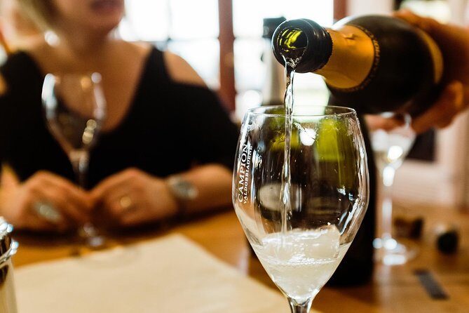 Prosecco Wine Tour (all-inclusive full day with lunch and expert wine guide) - The Prosecco Hills: An Authentic Journey