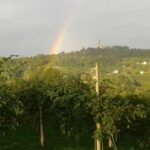 Prosecco Wine Tour. Full day from Venice - The Sum Up