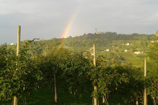 Prosecco Wine Tour. Full day from Venice - The Sum Up