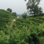 Prosecco Wine Tour. Half-day. From Venice - Scenic Photo Stop at Molinetto della Croda