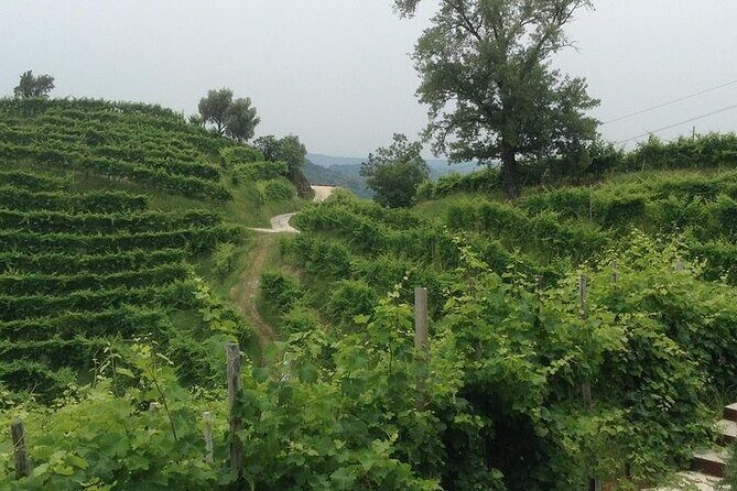 Prosecco Wine Tour. Half-day. From Venice - Scenic Photo Stop at Molinetto della Croda