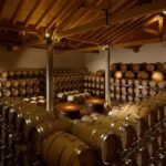 Prosecco Winery Tasting with Food Pairing near Venice - Exploring the Experience: A Step-by-Step Breakdown