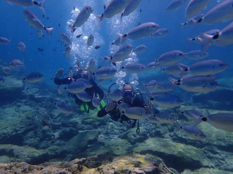 Protaras: 3-4 Day PADI Open Water Diver in Protaras - An Honest Look at the Protaras PADI Course