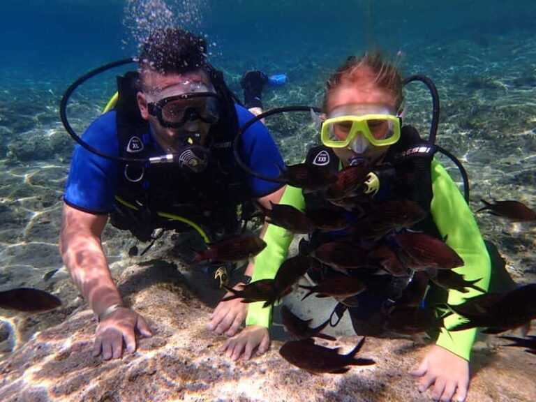 Protaras: Bubblemaker Diving Course & 2-Meter Dive - A Clear Introduction to the Underwater World