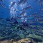 Protaras: Cape Grecko Single Dive for Qualified Divers - An Honest Look at the Cape Greco Dive Tour