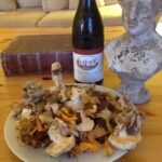 Provence: Mushroom Hunting with Outdoor Breakfast - Exploring the Mushroom Hunting Adventure in Provence