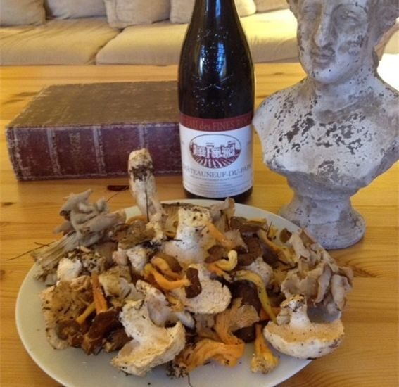 Provence: Mushroom Hunting with Outdoor Breakfast - Exploring the Mushroom Hunting Adventure in Provence