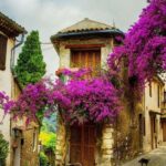 Provence private tour: Aix-en-Provence, (Marseille) & Cassis - What Travelers Love About This Tour