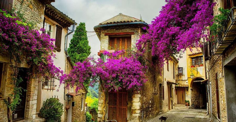 Provence private tour: Aix-en-Provence, (Marseille) & Cassis - What Travelers Love About This Tour