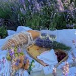 Provence: Valensole Lavender Fields Guided Full-Day Tour - In-Depth Review of the Provence: Valensole Lavender Fields Tour