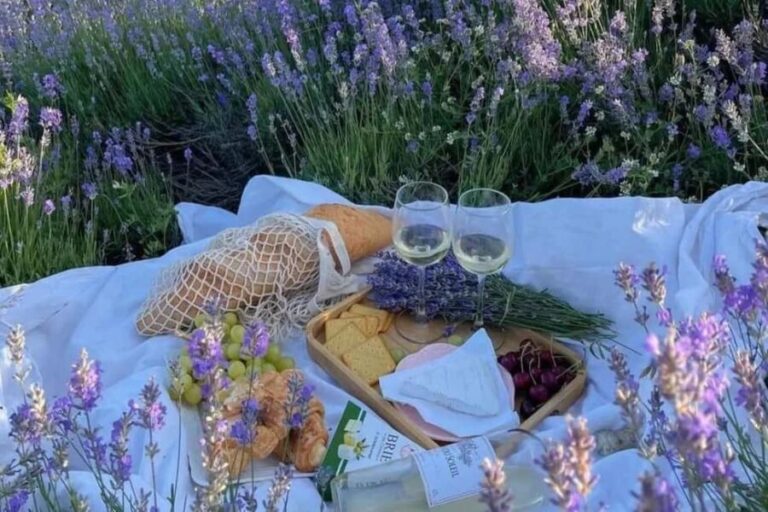 Provence: Valensole Lavender Fields Guided Full-Day Tour - In-Depth Review of the Provence: Valensole Lavender Fields Tour