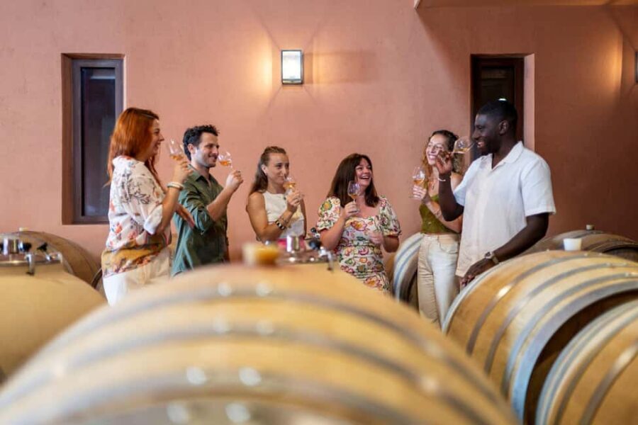 Provence Wine Tour - Private Tour from Nice - Authenticity and Value
