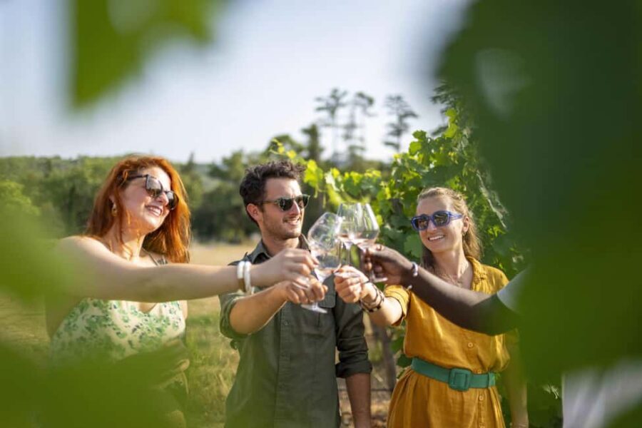 Provence Wine Tour - Small Group Tour from Cannes - Exploring the Provence Wine Tour from Cannes
