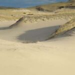 Provincetown: Cape Cod National Seashore Park Dune Tour - Exploring the Dunes: What to Expect