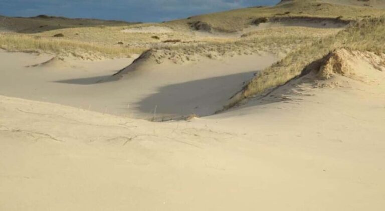 Provincetown: Cape Cod National Seashore Park Dune Tour - Exploring the Dunes: What to Expect