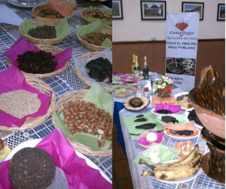 Puebla: 5-Hour Culinary Tour with Tastings - What to Expect from This Culinary Tour