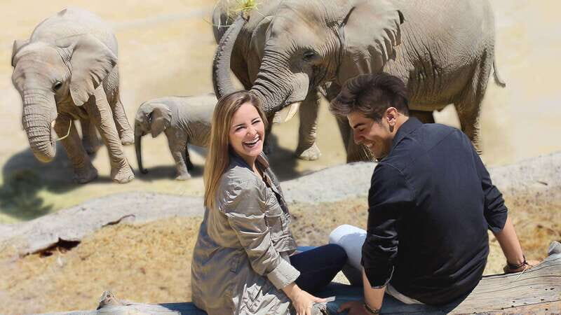 Puebla Africam Safari Park, Live an Unforgettable Adventure! - Final Thoughts: Value and Authenticity in Puebla