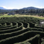 Puebla: Alpinia Mountain and Nature Park - Discovering Alpinia: A Practical Guide