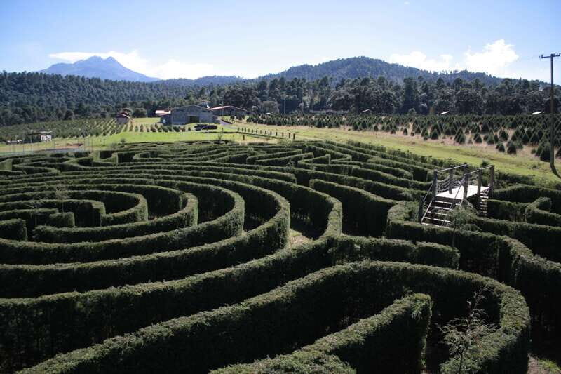 Puebla: Alpinia Mountain and Nature Park - Discovering Alpinia: A Practical Guide