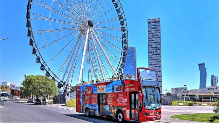 Puebla: Hop-on Hop-off City Tour and Aquarium Michín - Who Should Consider This Tour?