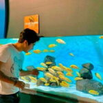 Puebla: Ticket to Aquarium Michin - Exploring Aquarium Michin Puebla: A Deep Dive Into What You’ll Experience