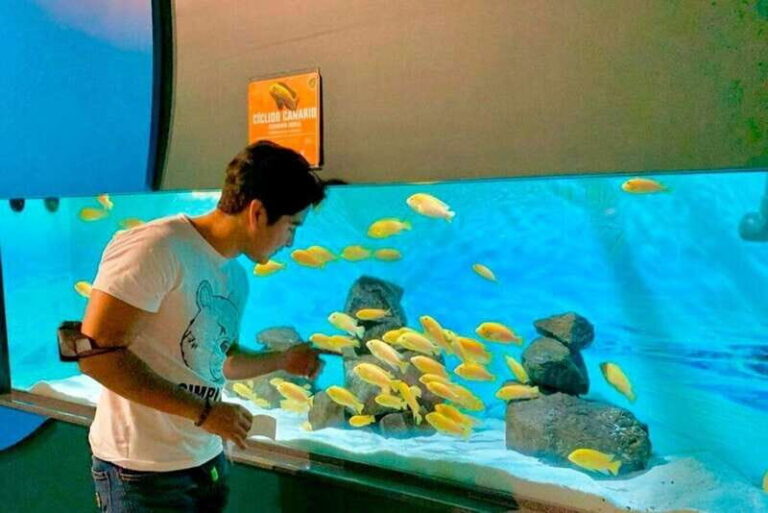 Puebla: Ticket to Aquarium Michin - Exploring Aquarium Michin Puebla: A Deep Dive Into What You’ll Experience