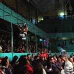 Puebla: Wrestling Experience - What We Love About the Puebla Wrestling Experience