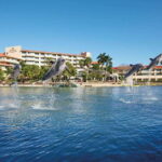 Puerto Aventuras: Amazing Dolphin Encounter with Lunch - Why It Works for Travelers