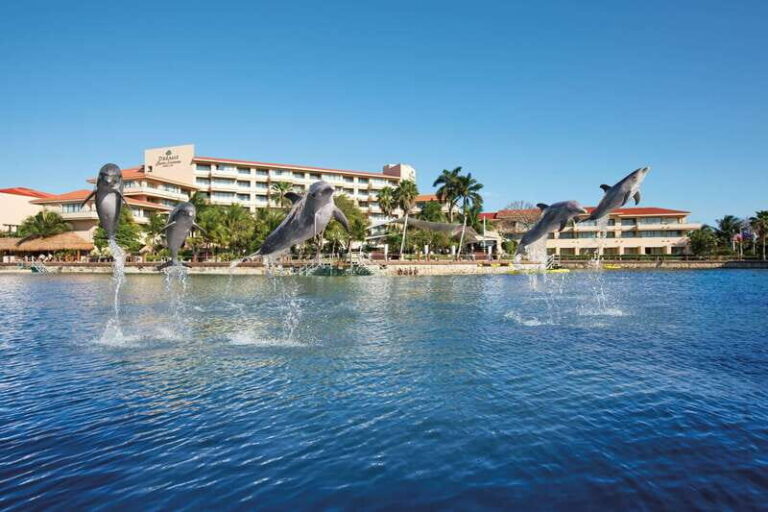 Puerto Aventuras: Amazing Dolphin Encounter with Lunch - Why It Works for Travelers