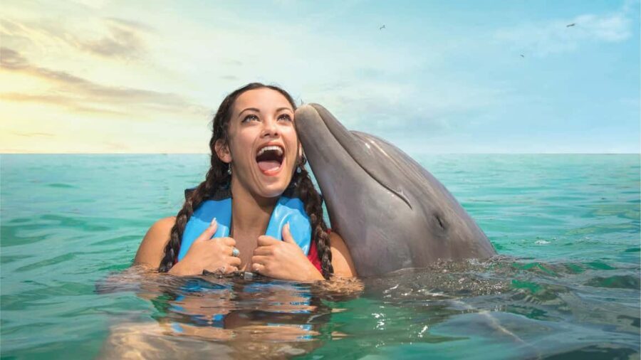 Puerto Aventuras: Dolphin and Manatee Interaction with Lunch - Who Should Consider This Tour?