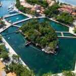 Puerto Aventuras: Dolphin & Manatee Encounter with lunch - Why This Tour Works for Travelers
