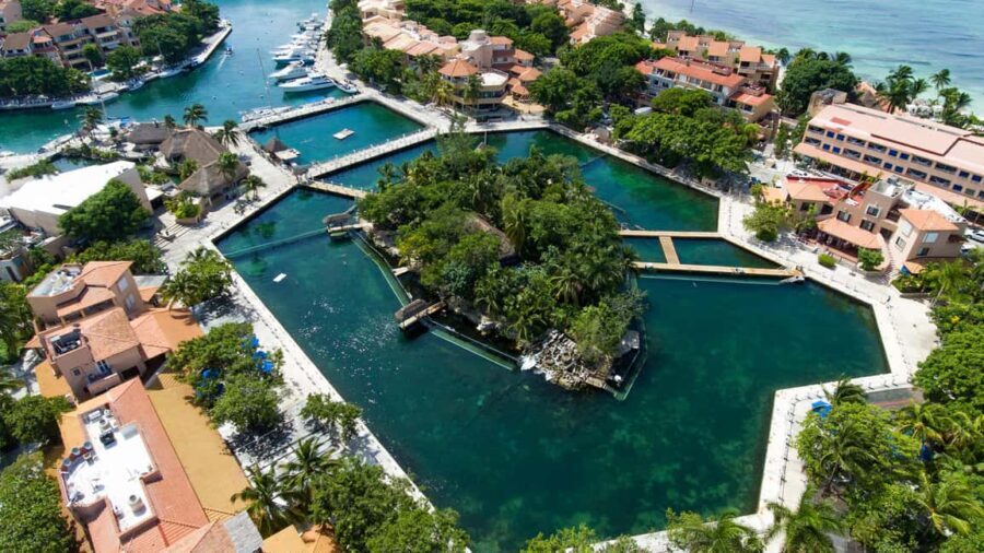 Puerto Aventuras: Dolphin & Manatee Encounter with lunch - Why This Tour Works for Travelers