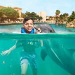 Puerto Aventuras: Dolphin Swim, Sea Lions, Manatees, & Lunch - The Realities: Pros and Cons Based on Reviews