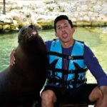Puerto Aventuras: Dolphins, Manatee & Sea Lion interaction - A Balanced Look at the Marine Encounter in Puerto Aventuras