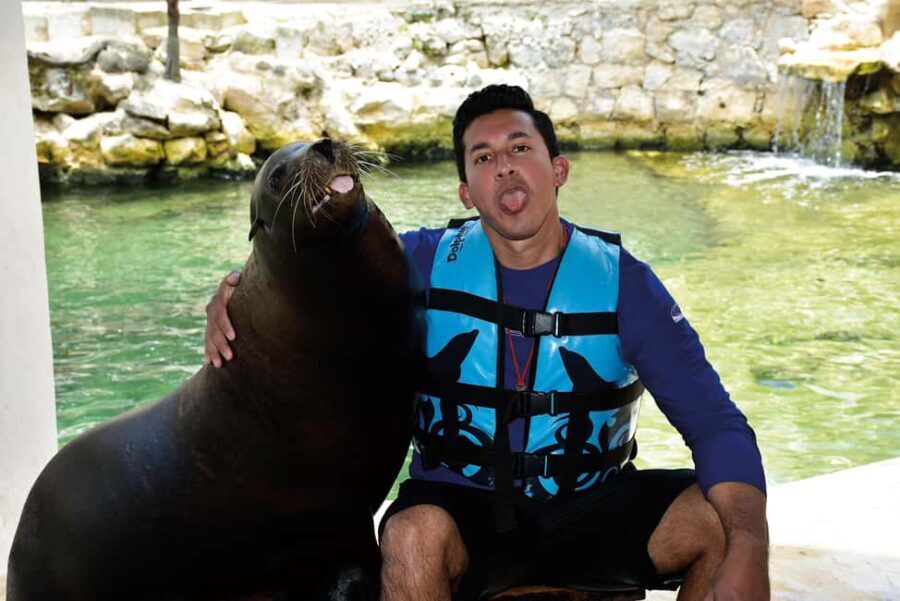 Puerto Aventuras: Dolphins, Manatee & Sea Lion interaction - A Balanced Look at the Marine Encounter in Puerto Aventuras