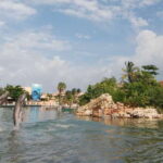 Puerto Aventuras: Manatee Encounter - A Closer Look at the Experience