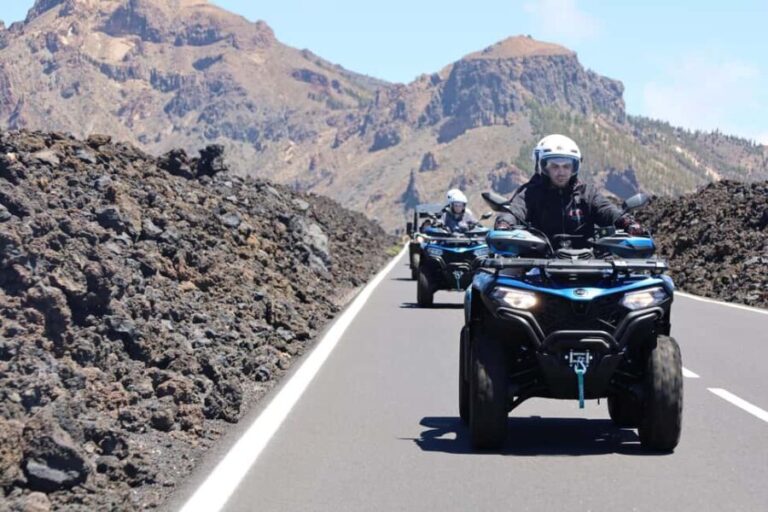 Puerto de la Cruz: Teide National Park Quad Tour Lunar Land - Who Will Enjoy This Tour?