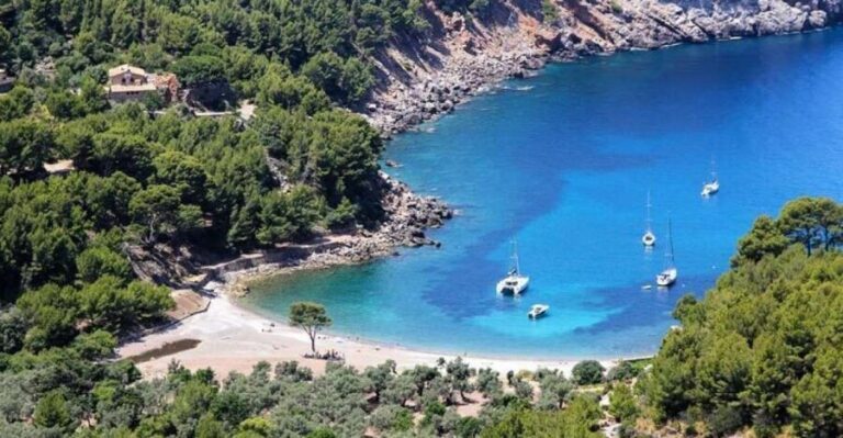 Puerto de Sóller: Cala Tuent Return Boat Trip - Final Thoughts