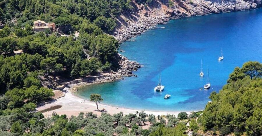 Puerto de Sóller: Cala Tuent Return Boat Trip - Final Thoughts