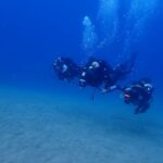 Puerto del Carmen: Try Scuba Diving from the beach - Detailed Itinerary Breakdown