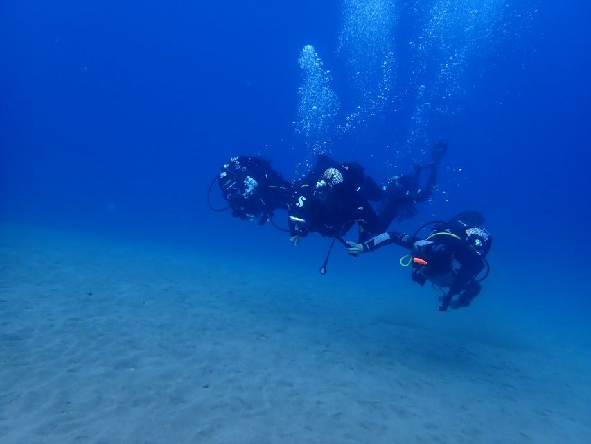 Puerto del Carmen: Try Scuba Diving from the beach - Detailed Itinerary Breakdown
