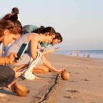 Puerto Escondido: Baby Turtle Release Tour - A Closer Look at the Puerto Escondido Baby Turtle Release Tour