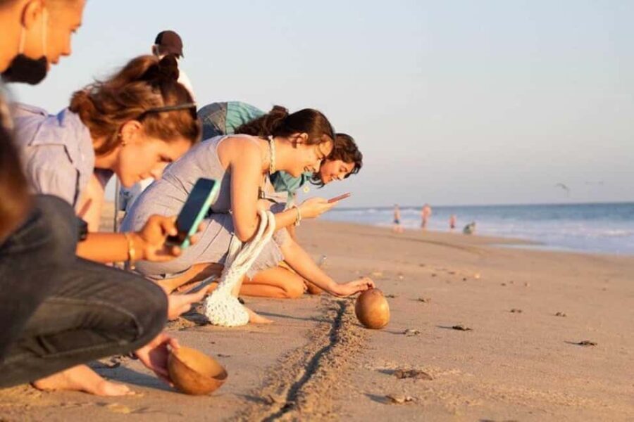 Puerto Escondido: Baby Turtle Release Tour - A Closer Look at the Puerto Escondido Baby Turtle Release Tour