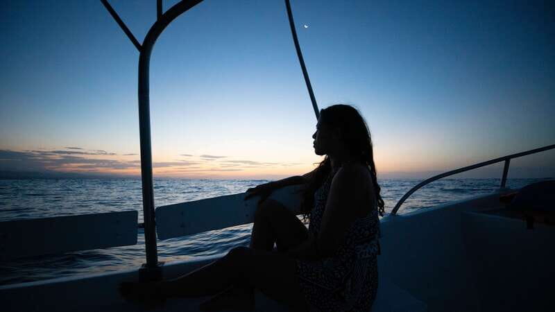 Puerto Escondido: Boat Tour among Dolphins and Turtles - Practical Details and Value
